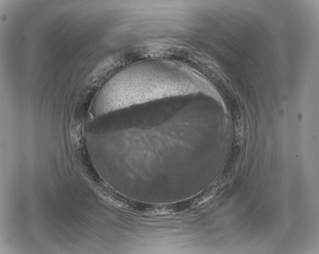 X0000078840503200611271325