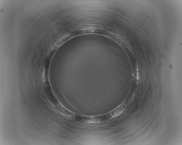 X0000078840504200611271325