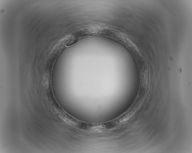 X0000078840505200611271325