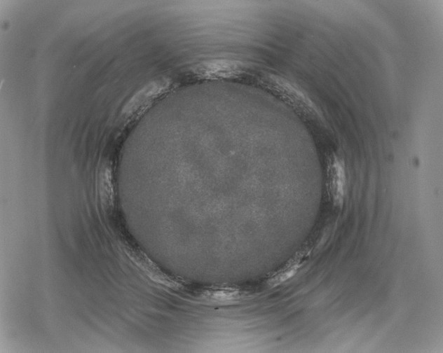 X0000078840506200611271325