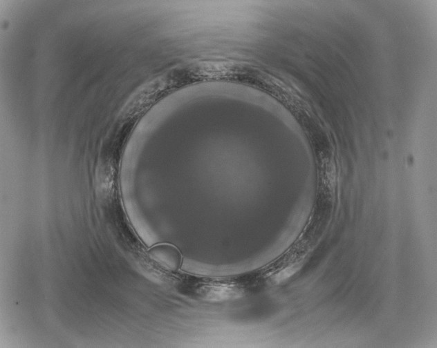 X0000078840507200611271325