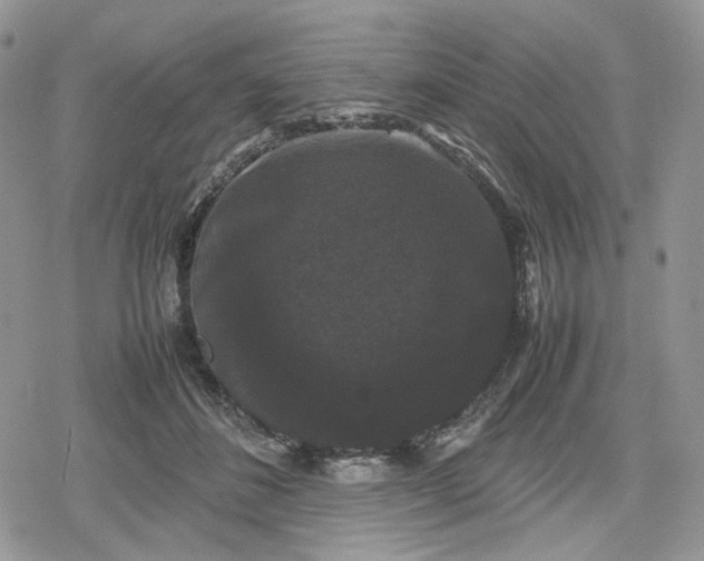 X0000078840508200611271325