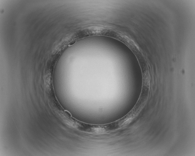 X0000078840509200611271325