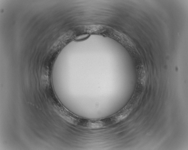 X0000078840510200611271325