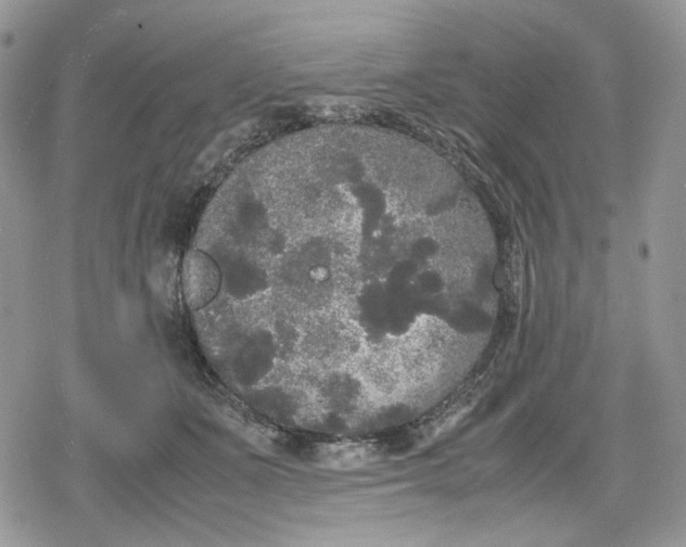 X0000078840511200611271325