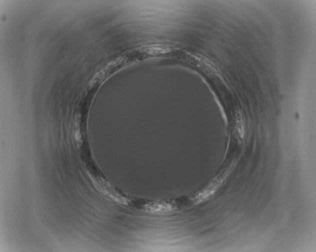 X0000078840512200611271325