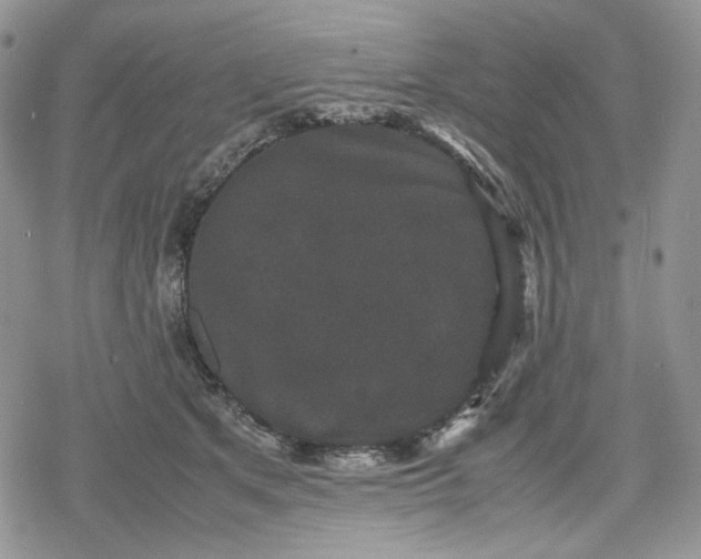 X0000078840513200611271325