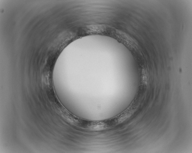 X0000078840514200611271325