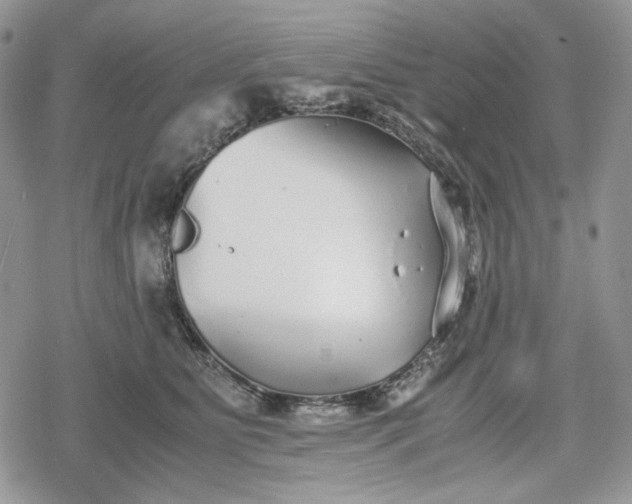 X0000078840515200611271325