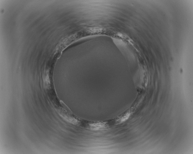 X0000078840516200611271325