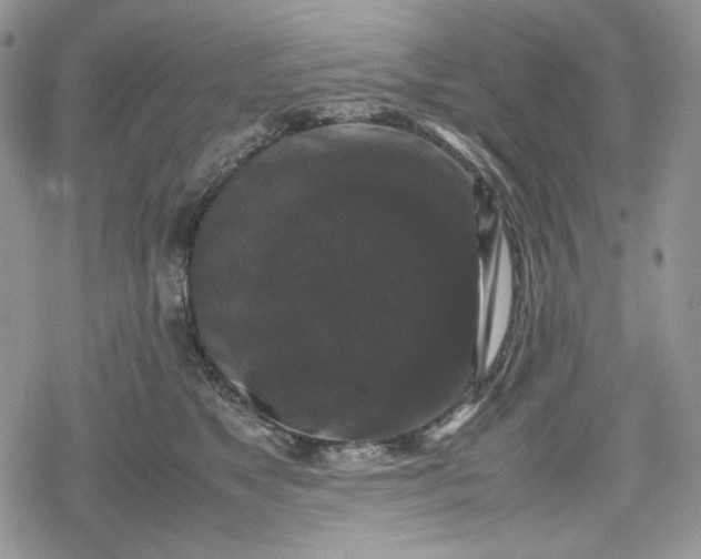 X0000078840517200611271325