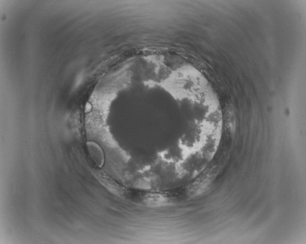 X0000078840519200611271325