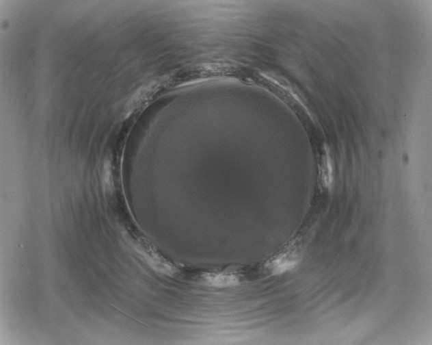 X0000078840520200611271325