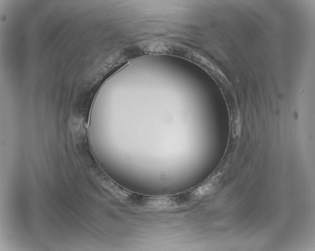 X0000078840521200611271325