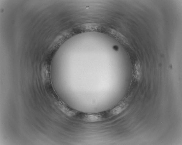 X0000078840522200611271325