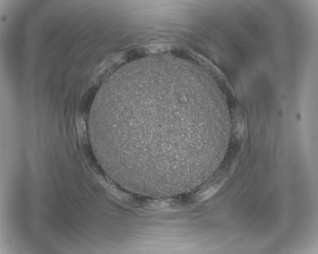 X0000078840523200611271325