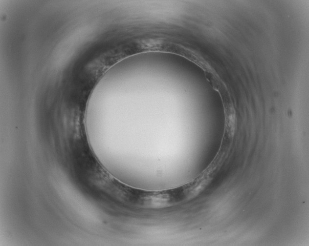 X0000078840525200611271325