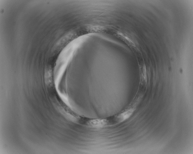 X0000078840526200611271325