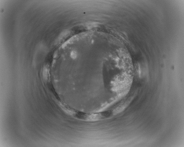 X0000078840527200611271325