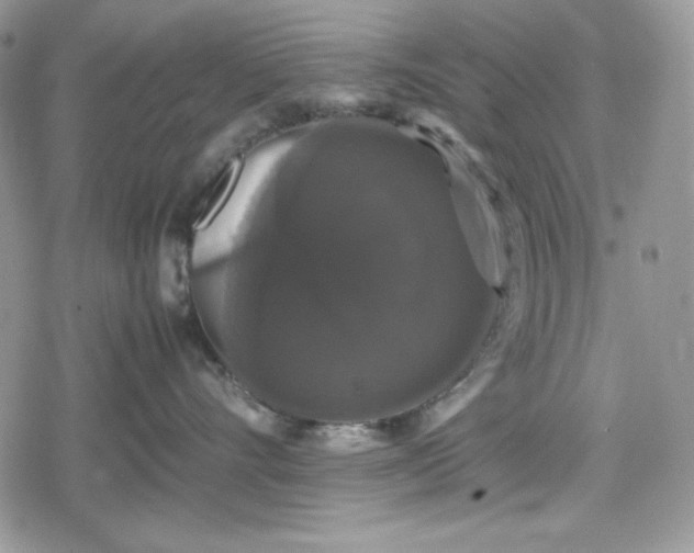 X0000078840528200611271325