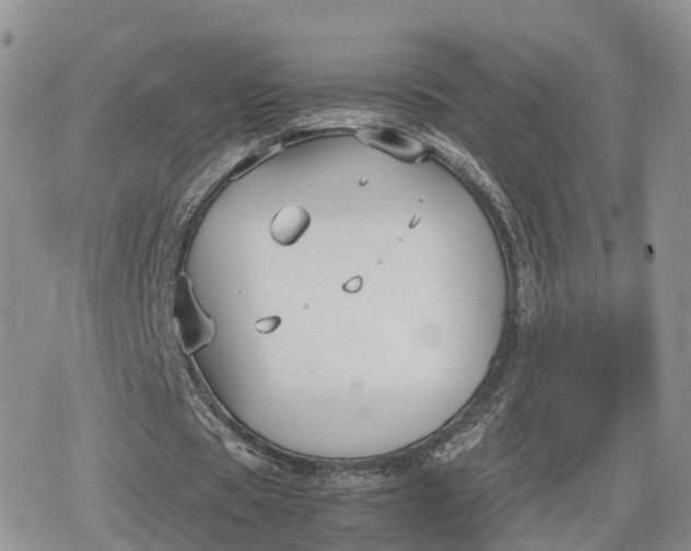 X0000078840529200611271324