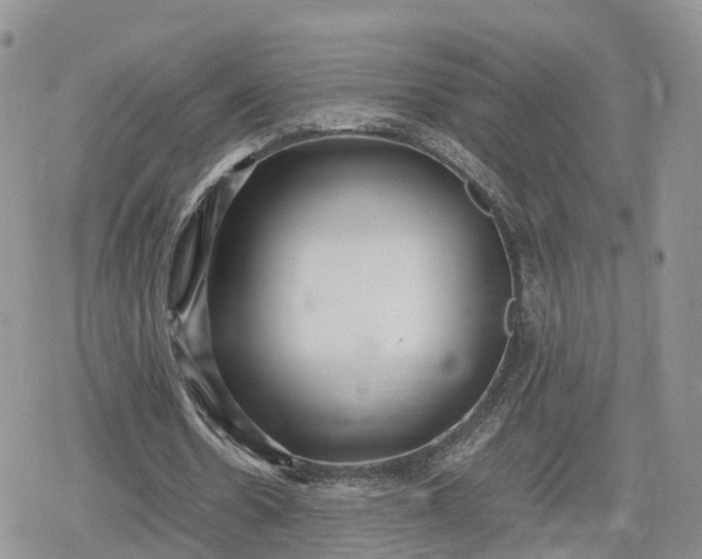 X0000078840530200611271324