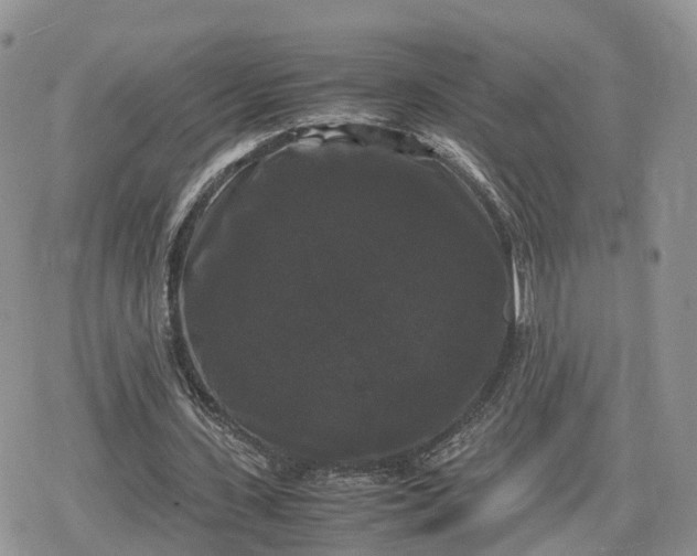 X0000078840531200611271324