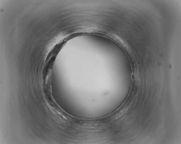 X0000078840532200611271324