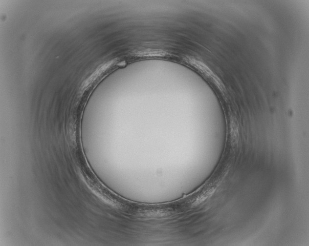 X0000078840533200611271324