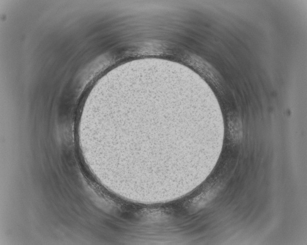 X0000078840534200611271324