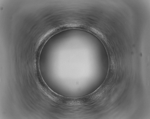 X0000078840535200611271324