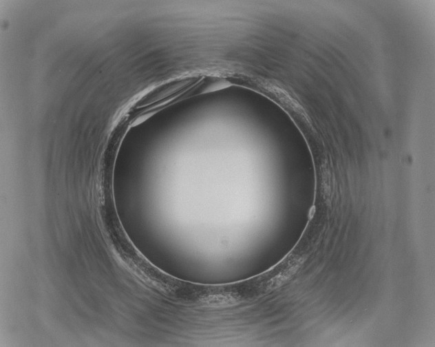 X0000078840536200611271324