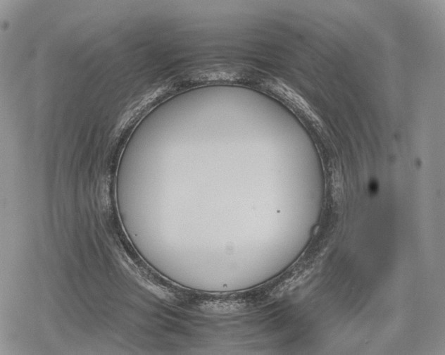 X0000078840537200611271324