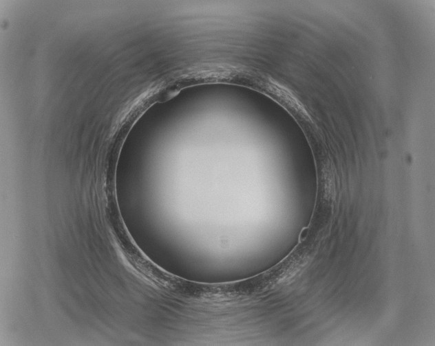 X0000078840538200611271324