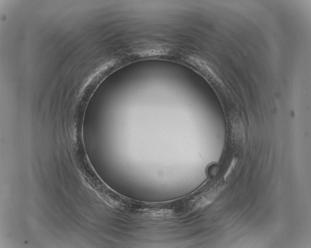 X0000078840539200611271324