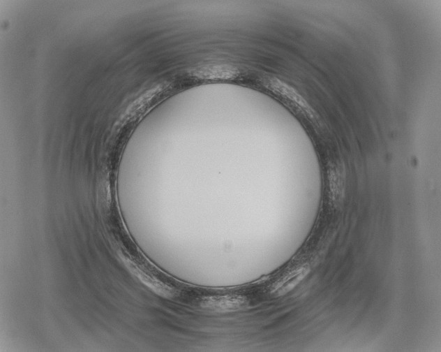 X0000078840541200611271324