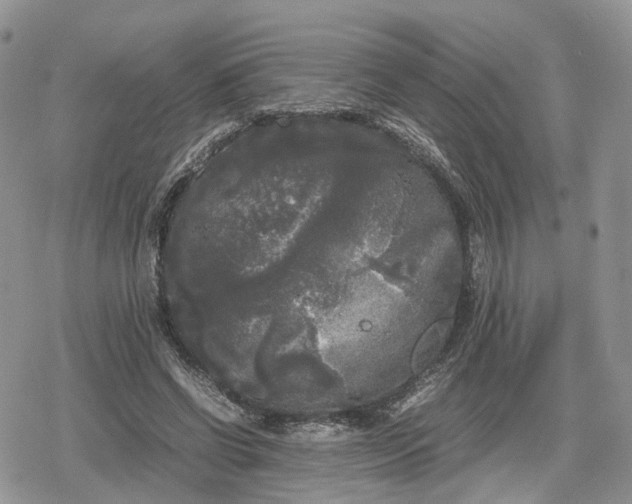 X0000078840542200611271324