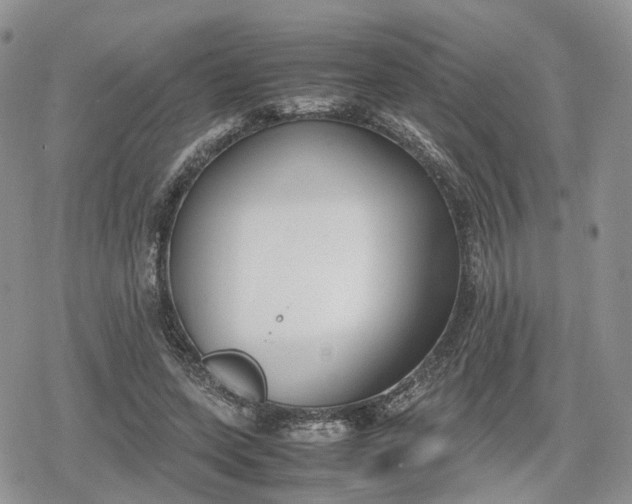 X0000078840543200611271324