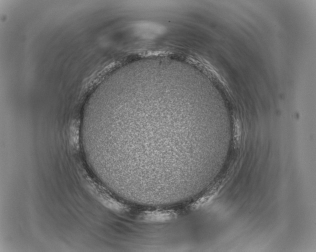 X0000078840545200611271324