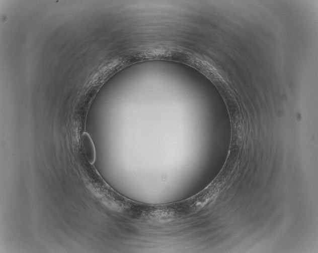 X0000078840546200611271324