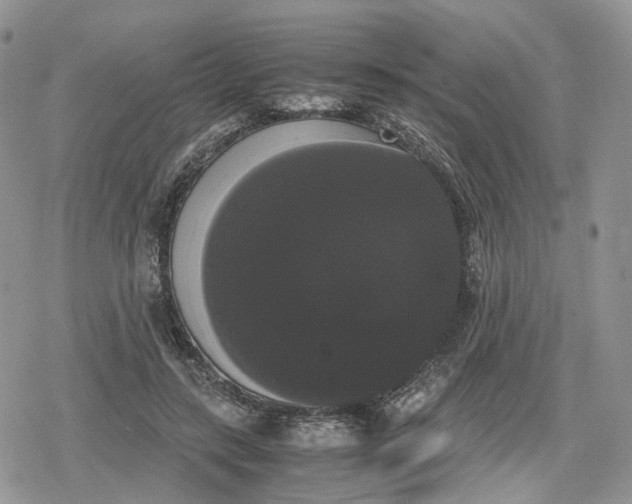 X0000078840547200611271324