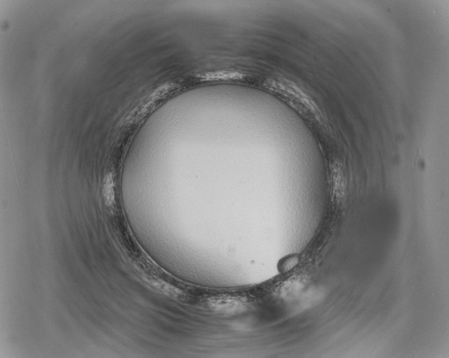 X0000078840549200611271324