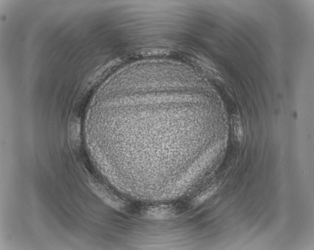 X0000078840550200611271324