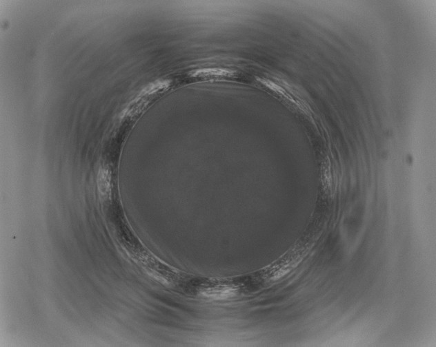 X0000078840551200611271324