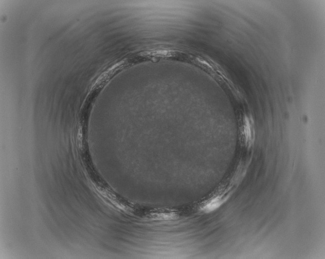 X0000078840552200611271325