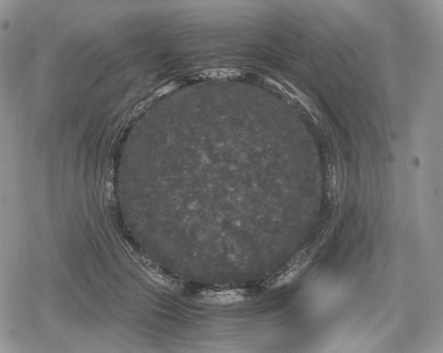 X0000078840553200611271325