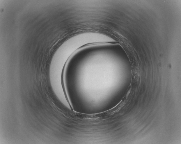 X0000078840556200611271325