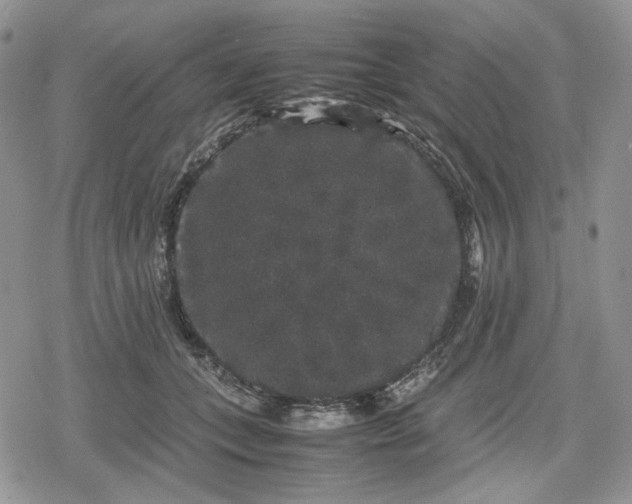 X0000078840559200611271325