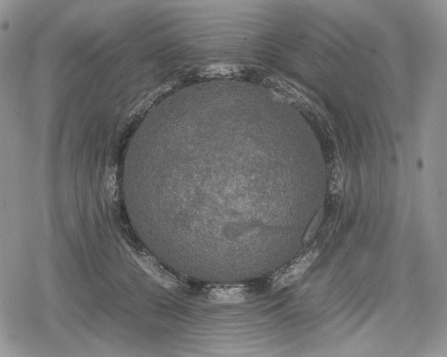 X0000078840560200611271325