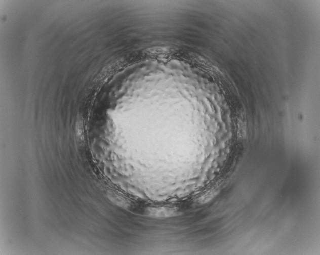 X0000078840561200611271325